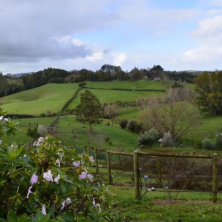 Runciman Berries And Emus B&B Ramarama Extérieur photo