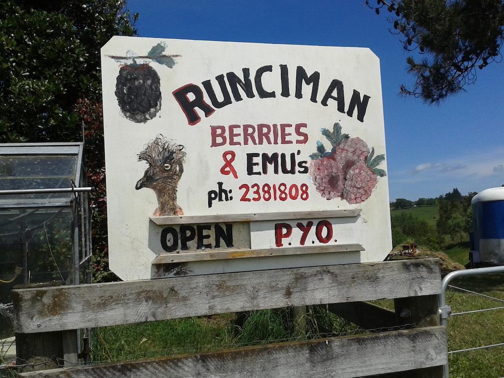 Runciman Berries And Emus B&B Ramarama Extérieur photo