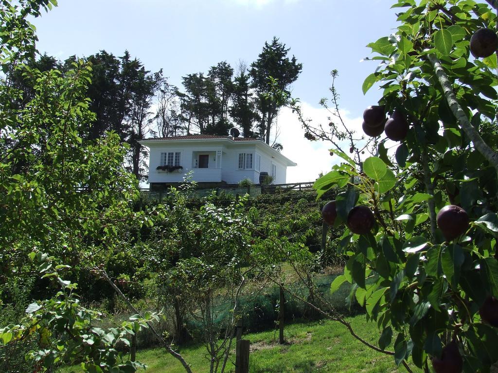 Runciman Berries And Emus B&B Ramarama Extérieur photo