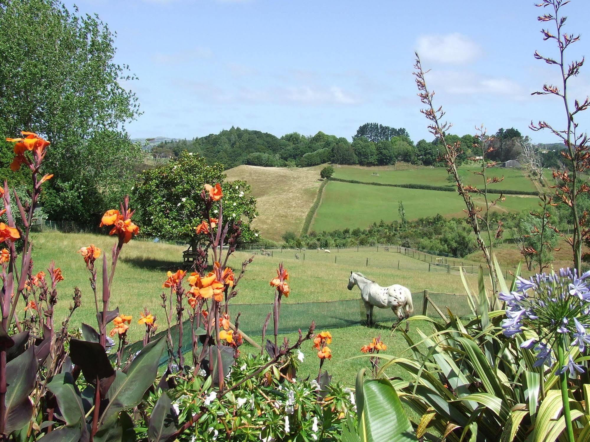 Runciman Berries And Emus B&B Ramarama Extérieur photo