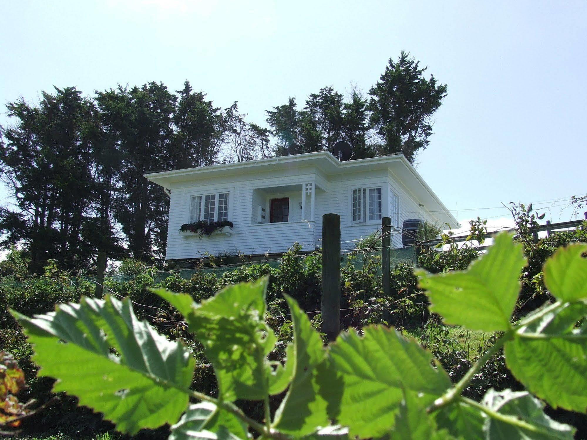 Runciman Berries And Emus B&B Ramarama Extérieur photo