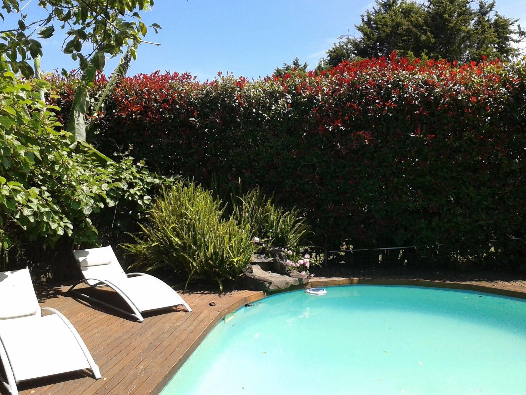 Runciman Berries And Emus B&B Ramarama Extérieur photo