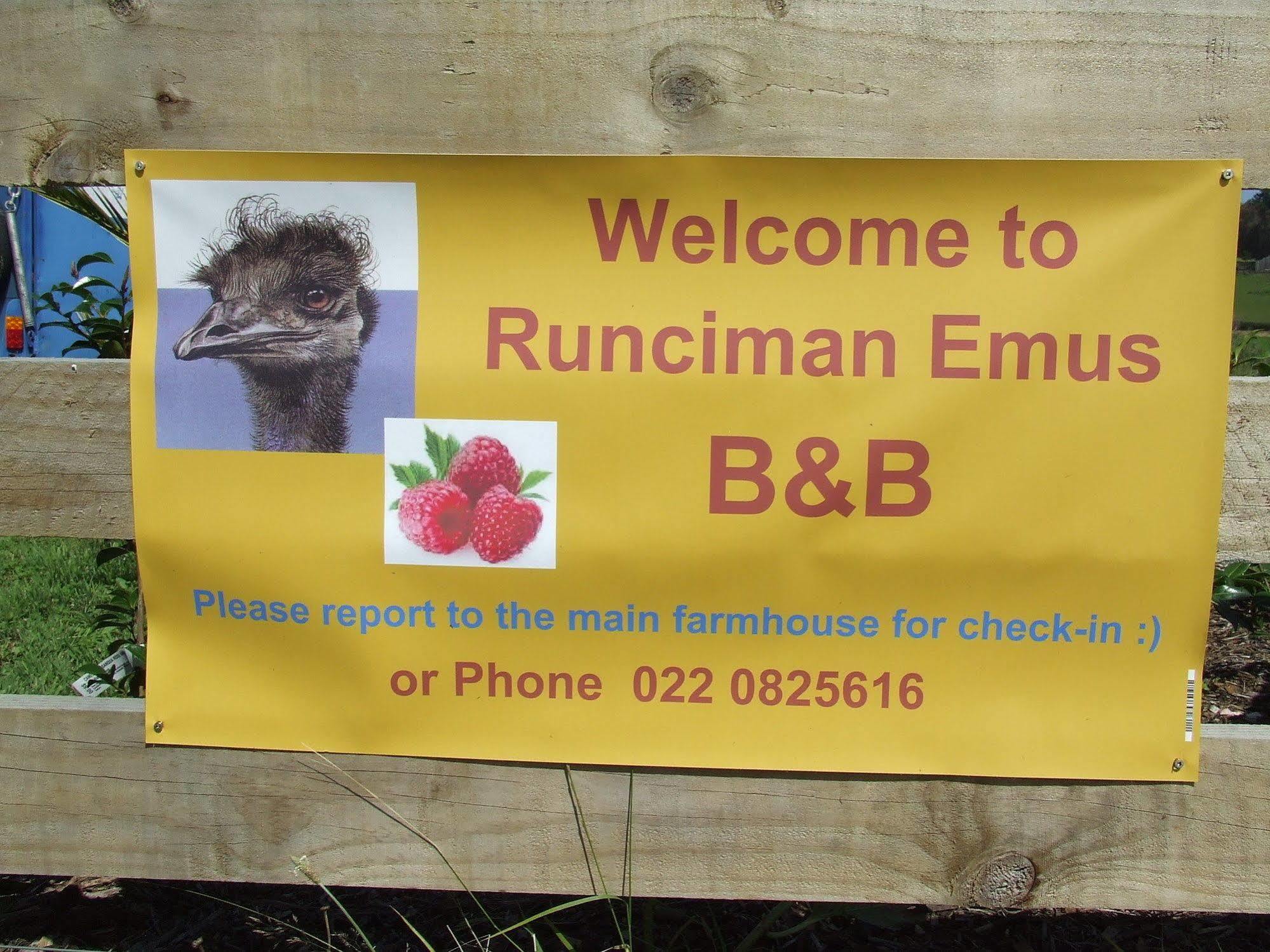 Runciman Berries And Emus B&B Ramarama Extérieur photo